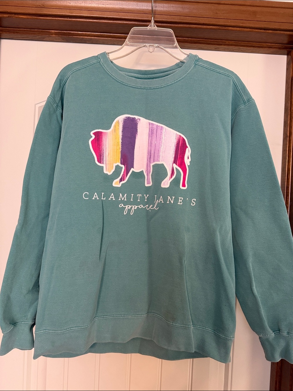 Comfort Colors Teal Buffalo Stripe Graphic Sweatshirt